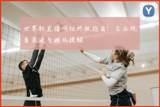 世界杯直播网址终极指南：合法观看渠道与避坑提醒