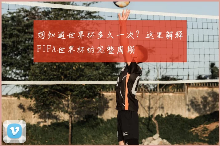 想知道世界杯多久一次?这里解释FIFA世界杯的完整周期