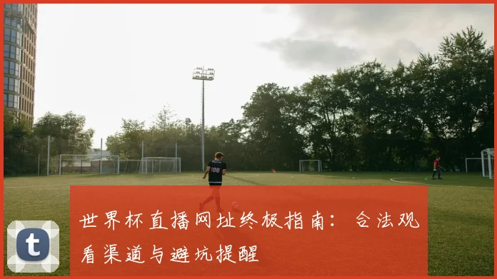 世界杯直播网址终极指南：合法观看渠道与避坑提醒