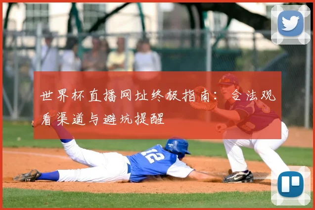世界杯直播网址终极指南：合法观看渠道与避坑提醒
