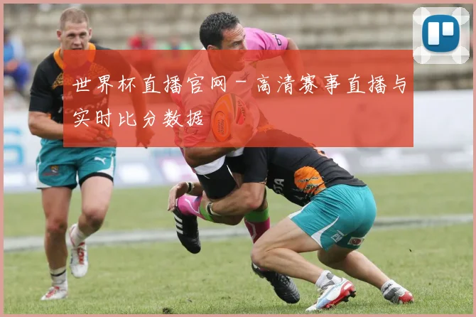 世界杯直播官网 - 高清赛事直播与实时比分数据