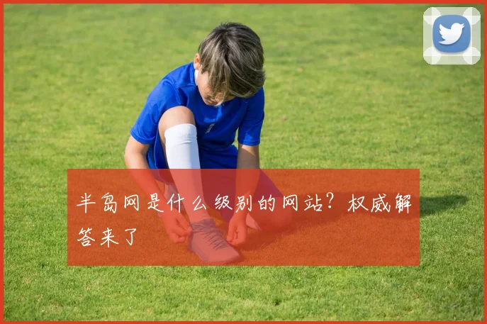 半岛网是什么级别的网站?权威解答来了