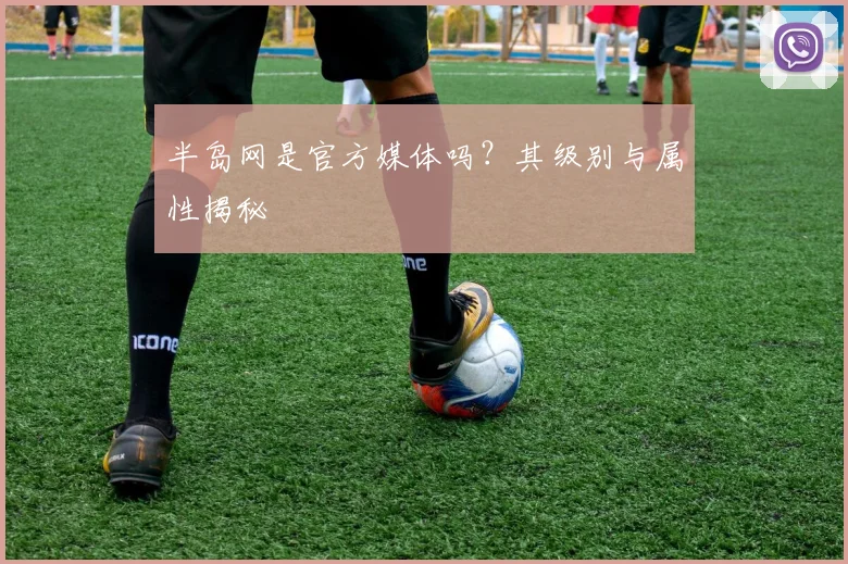 半岛网是官方媒体吗?其级别与属性揭秘