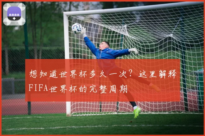 想知道世界杯多久一次？这里解释FIFA世界杯的完整周期