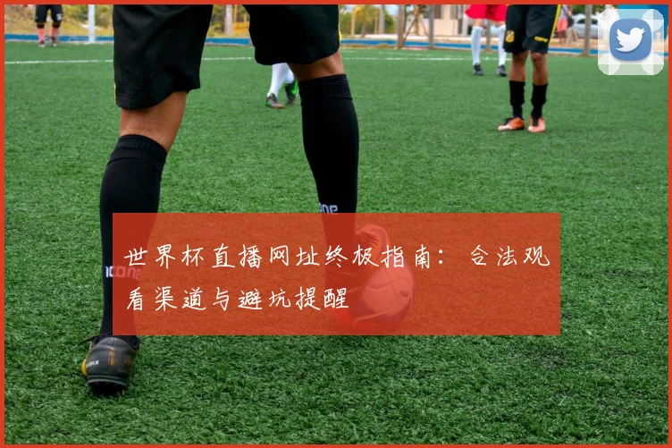 世界杯直播网址终极指南：合法观看渠道与避坑提醒